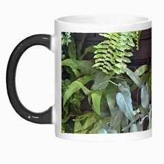 Living Wall Morph Mugs by Riverwoman