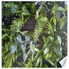 Living Wall Canvas 16  X 16  by Riverwoman