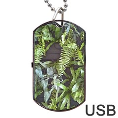 Living Wall Dog Tag Usb Flash (two Sides) by Riverwoman