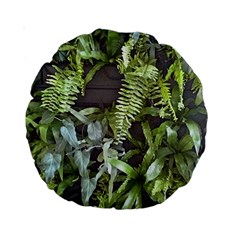 Living Wall Standard 15  Premium Round Cushions by Riverwoman