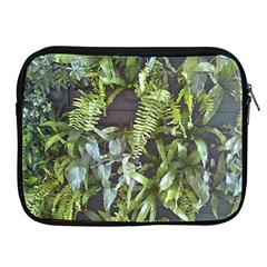 Living Wall Apple Ipad 2/3/4 Zipper Cases by Riverwoman