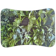 Living Wall Velour Seat Head Rest Cushion by Riverwoman