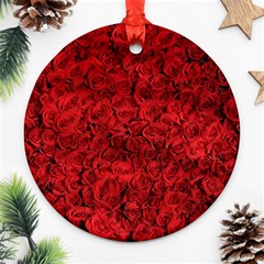 Rose Roses Flowers Red Valentine Round Ornament (two Sides) by Pakrebo