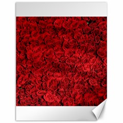 Rose Roses Flowers Red Valentine Canvas 12  X 16  by Pakrebo