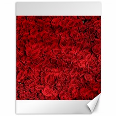 Rose Roses Flowers Red Valentine Canvas 36  X 48  by Pakrebo