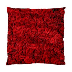 Rose Roses Flowers Red Valentine Standard Cushion Case (one Side) by Pakrebo