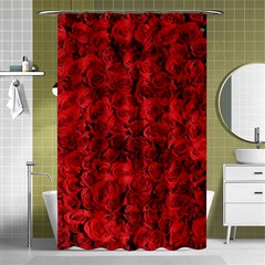 Rose Roses Flowers Red Valentine Shower Curtain 48  X 72  (small)  by Pakrebo