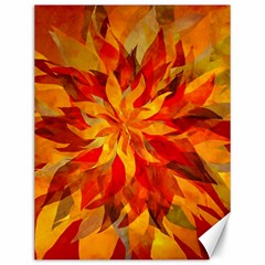 Flower Blossom Red Orange Abstract Canvas 12  x 16 