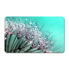 Dandelion Seeds Flower Nature Magnet (rectangular) by Pakrebo