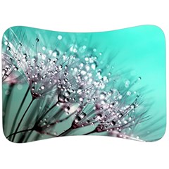 Dandelion Seeds Flower Nature Velour Seat Head Rest Cushion by Pakrebo