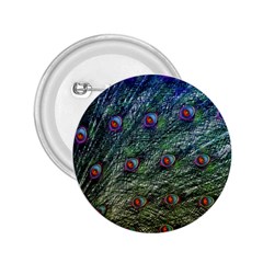 Peacock Feathers Colorful Feather 2 25  Buttons by Pakrebo