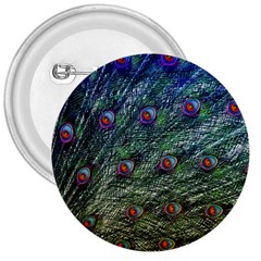 Peacock Feathers Colorful Feather 3  Buttons by Pakrebo