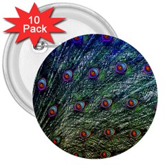 Peacock Feathers Colorful Feather 3  Buttons (10 Pack)  by Pakrebo