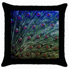 Peacock Feathers Colorful Feather Throw Pillow Case (black) by Pakrebo