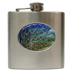 Peacock Feathers Colorful Feather Hip Flask (6 Oz) by Pakrebo