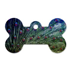 Peacock Feathers Colorful Feather Dog Tag Bone (one Side) by Pakrebo