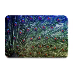 Peacock Feathers Colorful Feather Plate Mats by Pakrebo