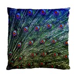 Peacock Feathers Colorful Feather Standard Cushion Case (Two Sides) Front