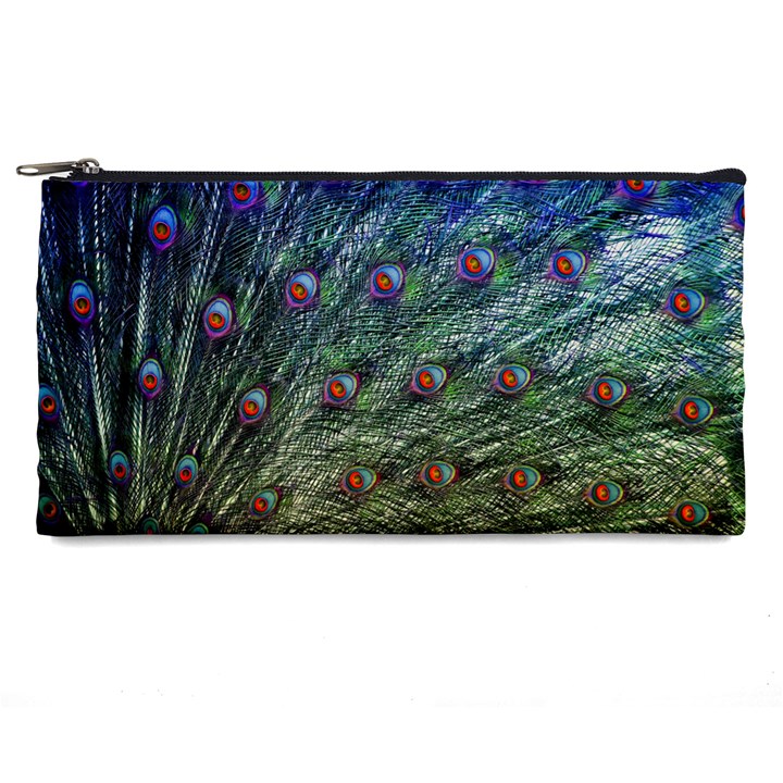 Peacock Feathers Colorful Feather Pencil Cases