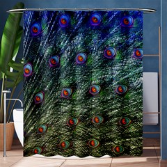 Peacock Feathers Colorful Feather Shower Curtain 60  X 72  (medium)  by Pakrebo