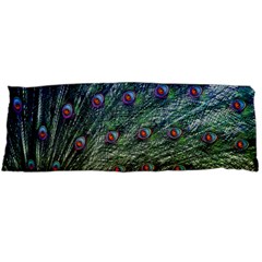 Peacock Feathers Colorful Feather Body Pillow Case (dakimakura) by Pakrebo