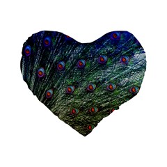 Peacock Feathers Colorful Feather Standard 16  Premium Heart Shape Cushions by Pakrebo