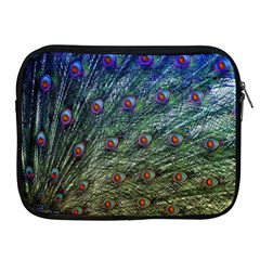 Peacock Feathers Colorful Feather Apple Ipad 2/3/4 Zipper Cases by Pakrebo