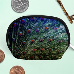 Peacock Feathers Colorful Feather Accessory Pouch (medium) by Pakrebo