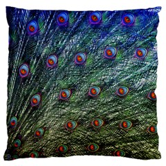 Peacock Feathers Colorful Feather Standard Flano Cushion Case (two Sides) by Pakrebo