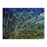 Peacock Feathers Colorful Feather Double Sided Flano Blanket (Mini)  35 x27  Blanket Front