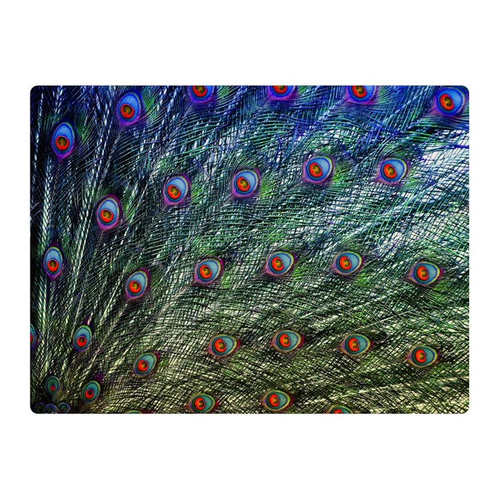 Peacock Feathers Colorful Feather Double Sided Flano Blanket (Mini) 