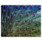 Peacock Feathers Colorful Feather Double Sided Flano Blanket (Medium)  60 x50  Blanket Front