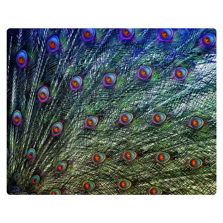 Peacock Feathers Colorful Feather Double Sided Flano Blanket (Medium) 