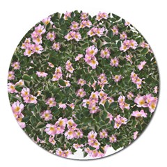 Pink Flowers Leaves Spring Garden Magnet 5  (round) by Pakrebo