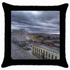 Ohio Supreme Court View Throw Pillow Case (black) by Riverwoman