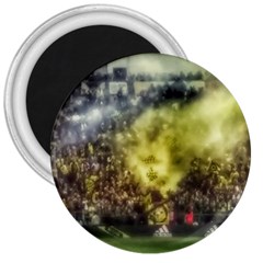 Columbus Crew Crowd, Mapfe Stadium 3  Magnets by Riverwoman