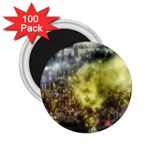 Columbus Crew Crowd, MAPFE Stadium 2.25  Magnets (100 pack)  Front