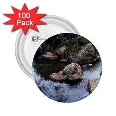 Garden of the Phoenix 2.25  Buttons (100 pack) 