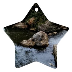 Garden of the Phoenix Star Ornament (Two Sides)