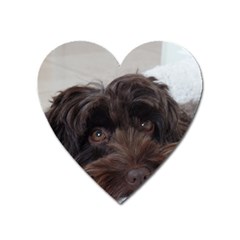 Laying In Dog Bed Heart Magnet by pauchesstore