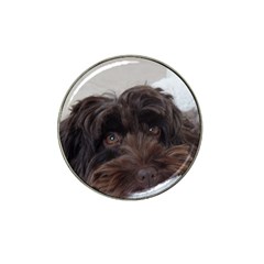 Laying In Dog Bed Hat Clip Ball Marker by pauchesstore