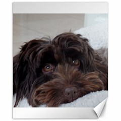 Laying In Dog Bed Canvas 16  X 20  by pauchesstore