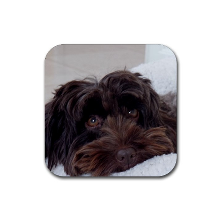 Laying In Dog Bed Rubber Coaster (Square) 