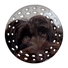 Laying In Dog Bed Ornament (round Filigree) by pauchesstore