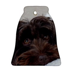 Laying In Dog Bed Ornament (bell) by pauchesstore