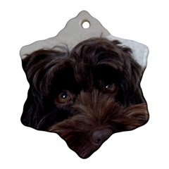 Laying In Dog Bed Snowflake Ornament (two Sides) by pauchesstore