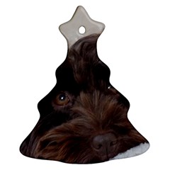 Laying In Dog Bed Christmas Tree Ornament (two Sides) by pauchesstore