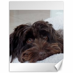 Laying In Dog Bed Canvas 12  X 16  by pauchesstore