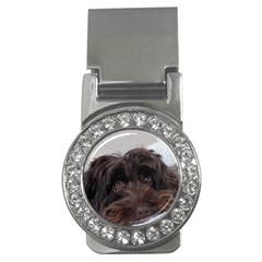 Laying In Dog Bed Money Clips (cz)  by pauchesstore