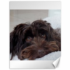 Laying In Dog Bed Canvas 36  X 48  by pauchesstore